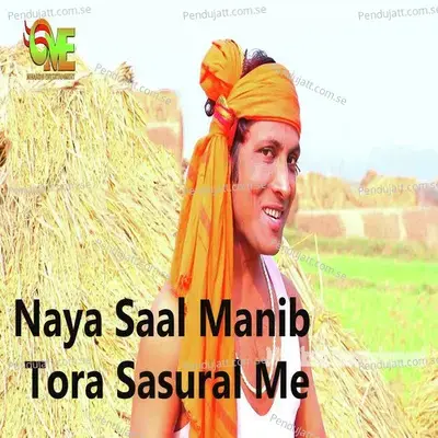 Naya Saal Manib Tora Sasural Me - Vishwanath Anand album cover 