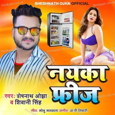 Nayaka Frij - Sheshnath Ojha album cover 