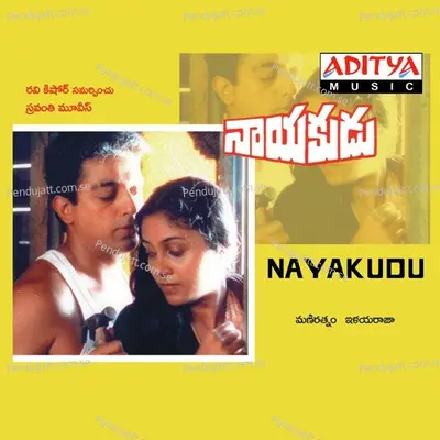 Neelala Kannulu - Ilaiyaraaja album cover 