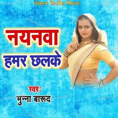 Nayanawa Hamar Chhalake - Neta Rajak album cover 