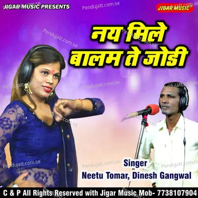 Naye Mili Baalam Te Jodi - Neetu Tomar Dinesh Gangwal album cover 