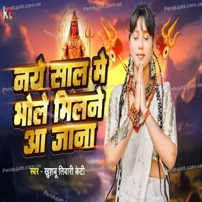 Naye Saal Me Bhole Milane Aa Jana - Khushbu Tiwari KT album cover 