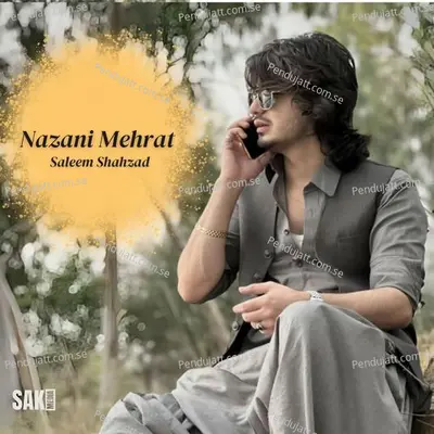 Nane Zindagi - Saleem Shahzad album cover 