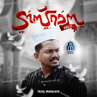 Nazrana  Vol  5 - Fazal Manalaya album cover 