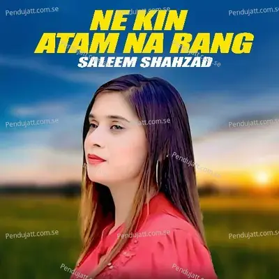 Ne Kin Atam Na Rang - Saleem Shahzad album cover 