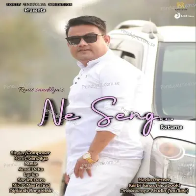 Ne Seng Returns - Ronit Sandilya album cover 