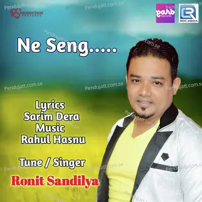 Ne Seng - Ronit Sandilya album cover 