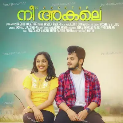 Nee Akale - Rashid Kolathur album cover 