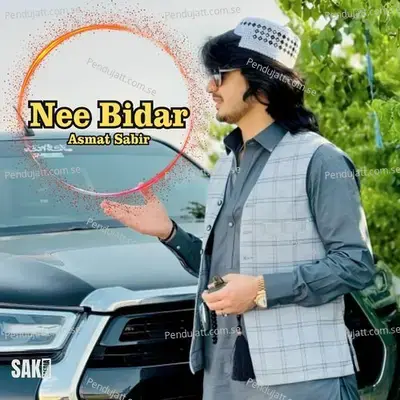 Nee Afes - Saleem Shahzad album cover 