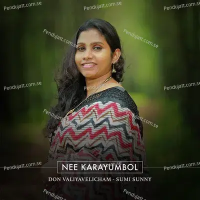 Nee Karayumbol - Don Valiyavelicham album cover 