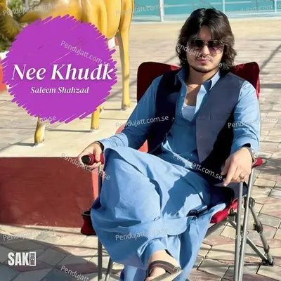 Nee Nane - Saleem Shahzad album cover 