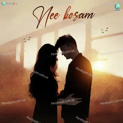 Nee Kosam - Tork album cover 