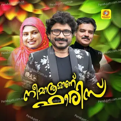 Khalbinte Thalam Pole - Afsal album cover 