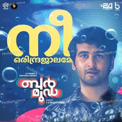 Nee Orindrajalame - Vinayak Sasikumar album cover 
