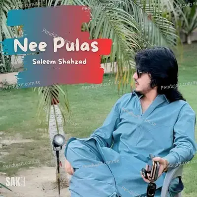 Nee Pulas - Saleem Shahzad cover album