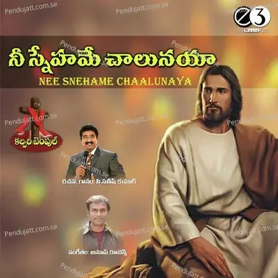 Bharunchalenayya - Dhinesh album cover 