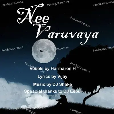 Nee Varuvaya - Dj Shake album cover 