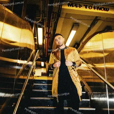 Need To Know - Jay Sean album cover 