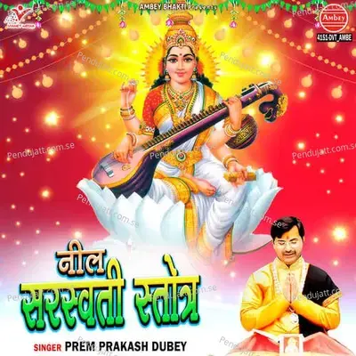 Neel Saraswati Stotra - Prem Prakash Dubey album cover 