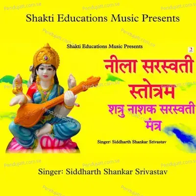 Neela Saraswati Stotram - Siddharth Shankar Srivastav album cover 