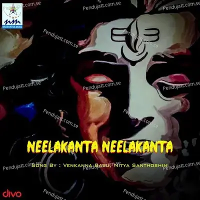 Nataraja Nee Namam - Anil Nandoori album cover 