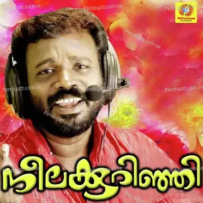 Vallyachan Vechu - Pradeep Palluruthy album cover 