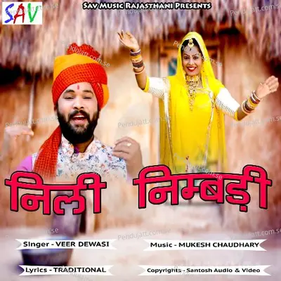 Neeli Nimbadi - Veer Dewasi album cover 