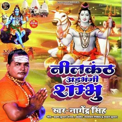 Neelkanth Adbhangi Shambhu - Nagendra Singh album cover 