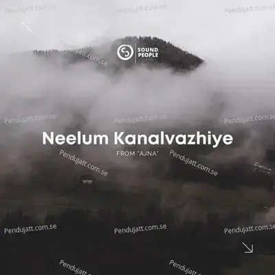 Neelum Kanalvazhiye - Anu Thomas album cover 