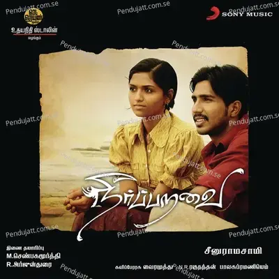 Para Para - N.R. Raghunanthan album cover 