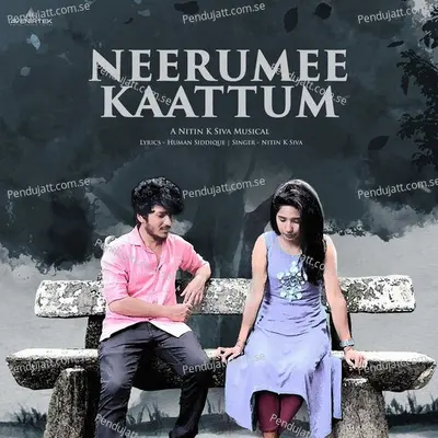 Neerumee Kaattum - Nitin K Siva album cover 