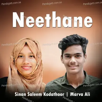 Neethane - Sinan Saleem Kodathoor album cover 