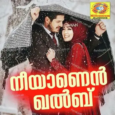Neeyanen Khalbu - Mohan album cover 