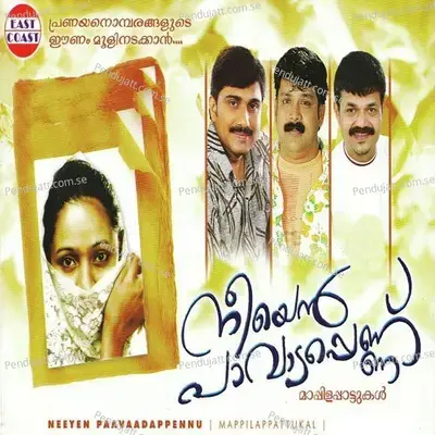 Doore Kannadi Puzha - Kannur Seenath album cover 