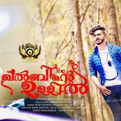 Neeyo Nilavu Pole - Ajmal Cheruthala album cover 