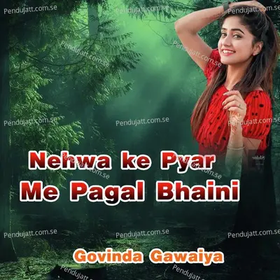 Nehwa Ke Pyar Me Pagal Bhaini - Govinda Gawaiya album cover 