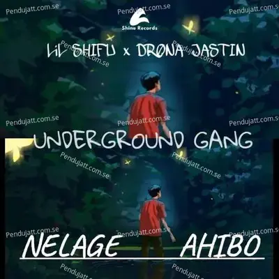 Nelage Ahibo - Lil Shifu album cover 