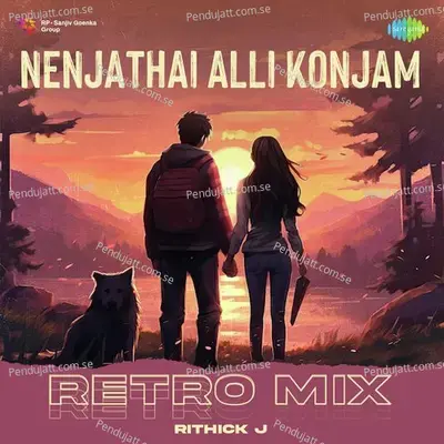 Nenjathai Alli Konjam - Retro Mix - Rithick J album cover 