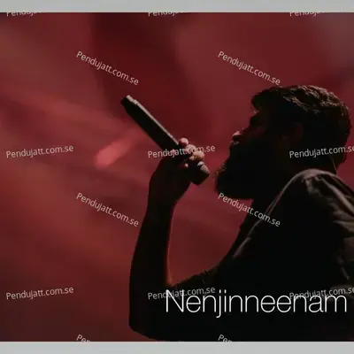 Nenjinneenam - Job Kurian album cover 