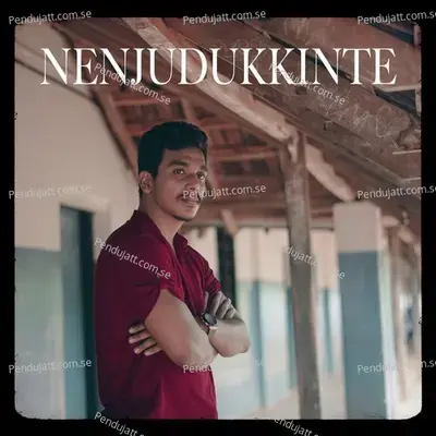 Nenjudukkinte - Saam Shameer album cover 