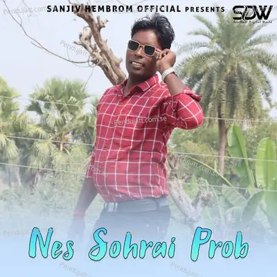 Nes Sohrai Prob - Mukesh Murmu album cover 