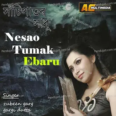 Nesao Tumak Ebaru - Gargi Dutta album cover 