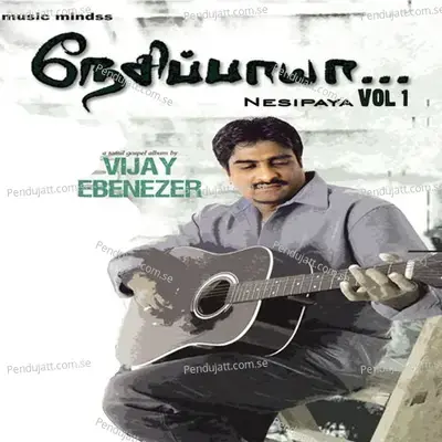 Endless Love Theme - Vijay Ebenezer album cover 