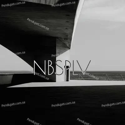 Nettle - NBSPLV album cover 