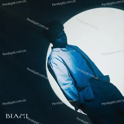 Never Be Fine - Biagi album cover 