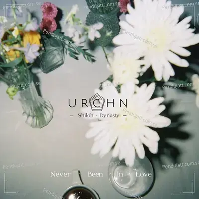  - Urchn 