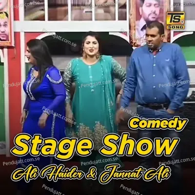 Comedy Stage Show - Ali Haider album cover 
