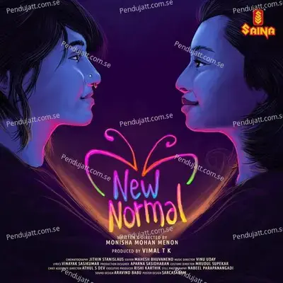 New Normal - Its Normal - Vinu Uday album cover 