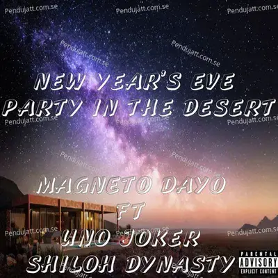 New Years Eve Party In The Desert - Magneto Dayo album cover 