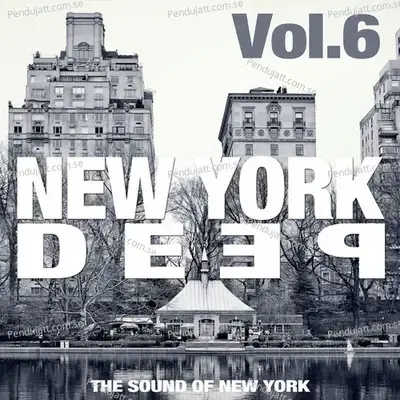 New York Deep  Vol  6  The Sound Of New York  - Various Artists cover album